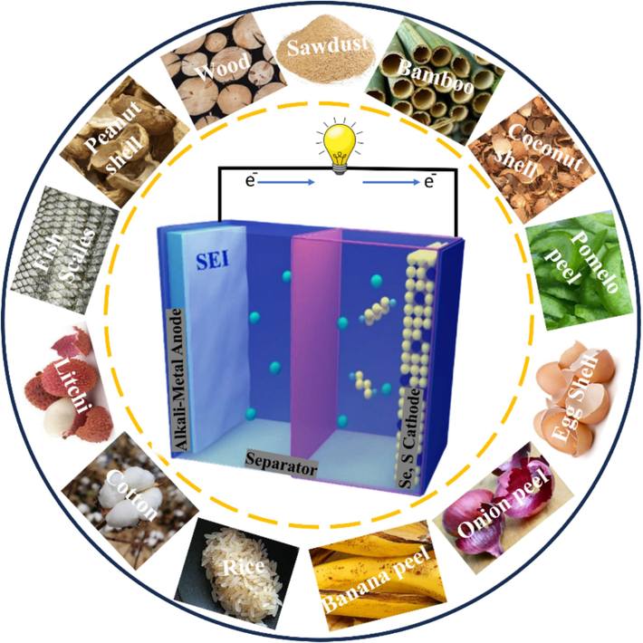 Schematic representation of biomass-derived materials utilized in AMS and Selenium batteries.
