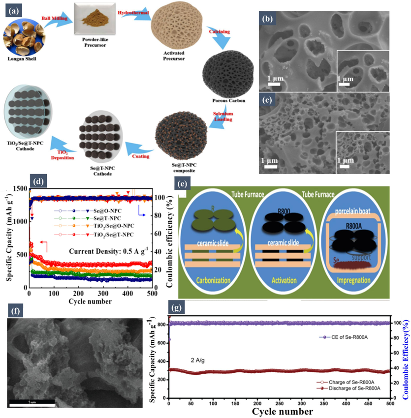 (a) Schematic illustration of the synthesis process for obtaining the TiO2/Se@T-NPC cathode. FESEM images of (b) TiO2/Se@O-NPC and (c) TiO2/Se@T-NPC. (d) Cyclic performance tests of Se@O-NPC, TiO2/Se@O-NPC, Se@T-NPC, and TiO2/Se@T-NPC cathodes at current densities of (a) 0.5 A/g. Reproduced with permission from (Li, 2023). Copyright 2023, Springer. (e) Schematic illustration of the Se-R800A free-standing electrode. (f) FESEM images of the Se-R800A. (g) Cycling performance of the Se-R800A at 2 A/g. Reproduced with permission from (Guo, 2019). Copyright 2019, Springer.