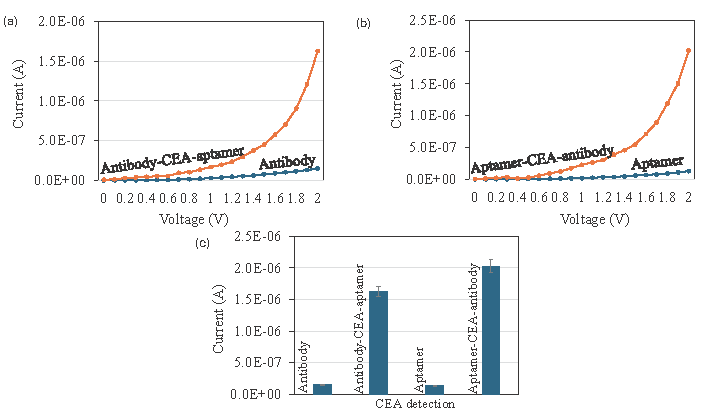 Detection of Carcinoembryonic antigen (CEA) by aptamer and antibody. (a) Current-volt measurement graph of CEA detection by antibody-CEA-aptamer sandwich. The current increment was confirmed the CEA interaction with antibody and aptamer. (b) Current-volt measurement graph of CEA detection by aptamer-CEA-antibody sandwich assay. Current increment was confirmed the CEA interaction with aptamer and antibody. (c) Comparative detection of CEA by aptamer and antibody as the capture probe. Clearly seen that the current response was increased when aptamer was used as the capture probe. Data was averaged by averaging three independent measurements using the sensing surfaces prepared from the same batch of fabrication.
