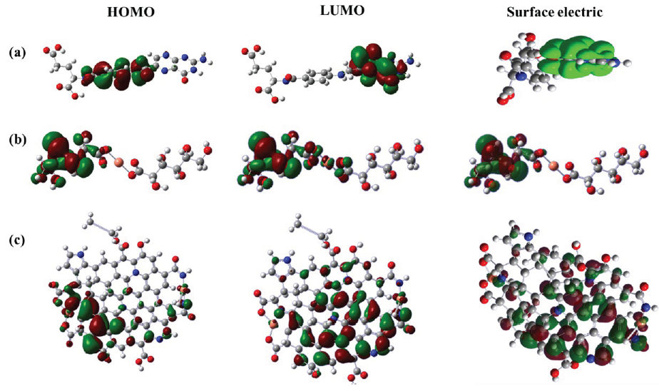 Quantum chemical simulation calculation results of HOMO, LUMO and surface electric distribution for (a) folic acid, (b) copper gluconate, and (c) Cu-N-CDs.
