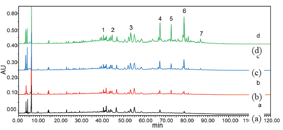 HPLC results of ultrafiltration experiment. (a) negative control group, (b) 0.2 U/mL, (c) 0.5 U/mL, (d)1.0 U/mL. HPLC: High-performance liquid chromatography.