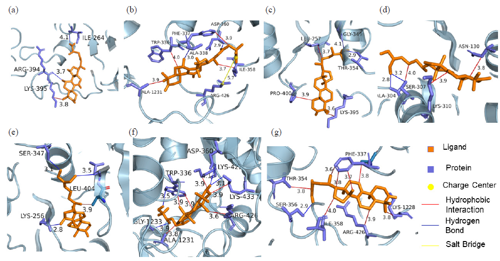 Molecular docking of XOD inhibitors and XOD: (a) Ganoderic acid A-XOD, (b) Ganoderic acid D-XOD, (c) Ganodermanontriol-XOD, (d) Ganoderiol F-XOD, (e) Ganoderiol B-XOD, (f) Ganoderiol A-XOD, (g) Ganoderal A-XOD. CCC: Consecutive-countercurrent chromatography.