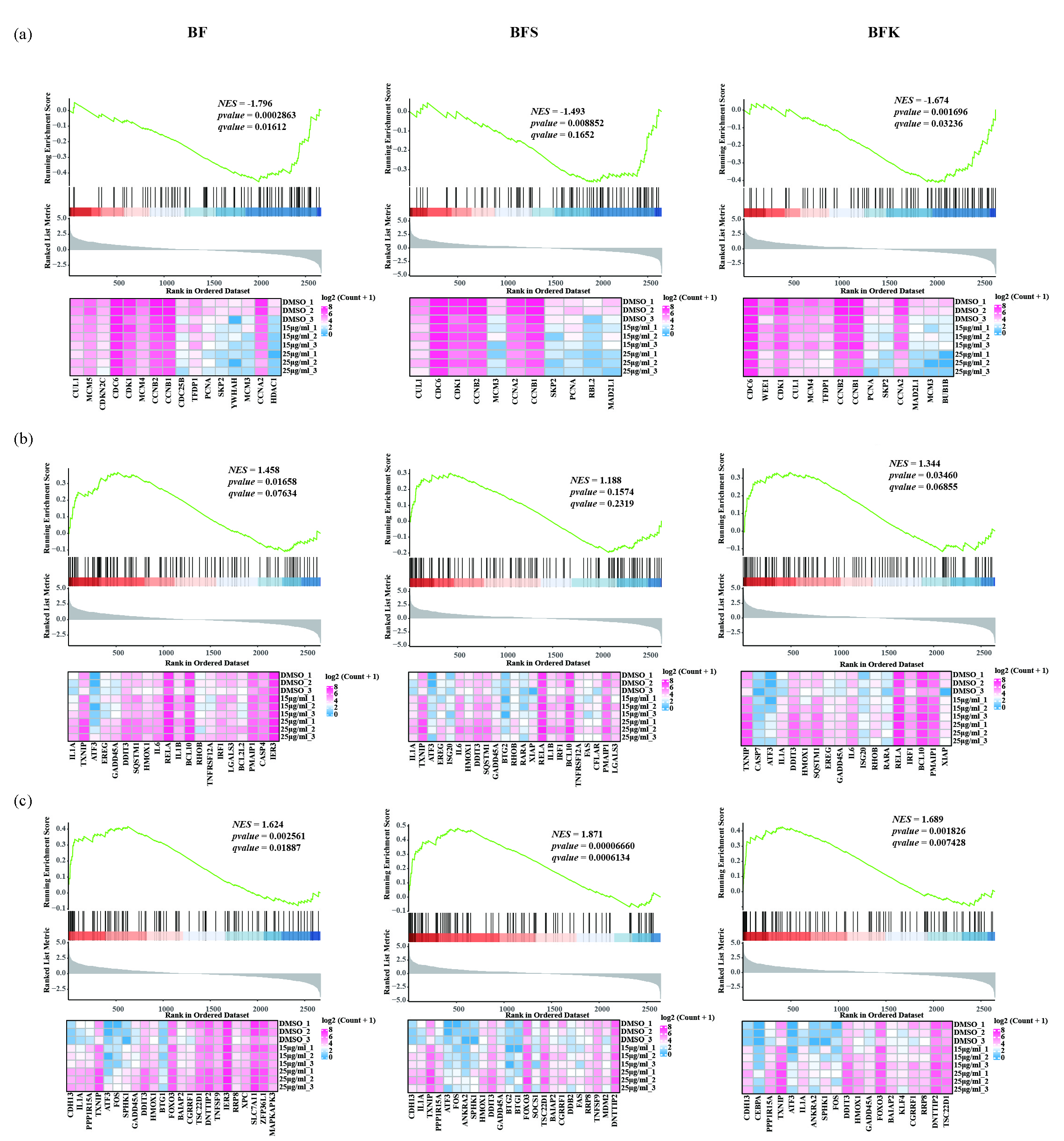 BF, BFS, and BFK inhibited the pathway of (a) “KEGG CELL CYCLE”, and activated pathways of (b) “HALLMARK APOPTOSIS” and (c) “HALLMARK P53 PATHWAY”. The lower heatmap shows an expression of the core gene in the pathway in the form of log2 (count + 1). BF: Bruceae Fructus, BFK: Kernels of Bruceae Fructus, BFS: Shell of Bruceae Fructus, NES: Normalized enrichment score, KEGG: Kyoto encyclopedia of genes and genomes.