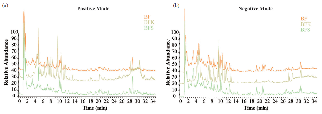 UPLC-MS/MS chromatograms of ethanolic extracts of BF, BFS, and BFK in (a) positive and (b) negative modes. BF: Bruceae Fructus, BFK: Kernels of Bruceae Fructus, BFS: Shell of Bruceae Fructus, UPLC: Ultra performance liquid chromatography, MS: Mass spectrometry.