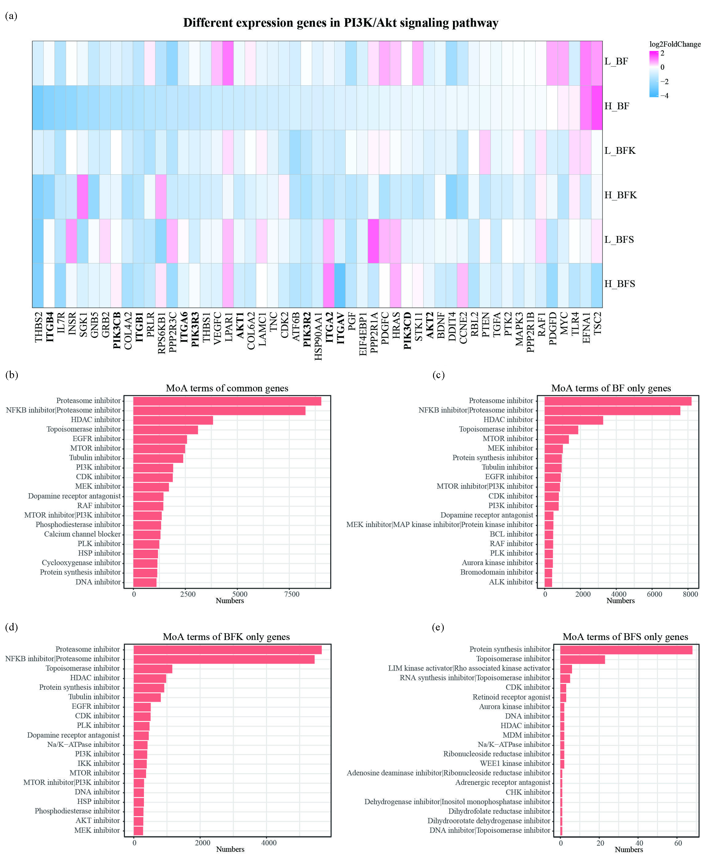 BF, BFK, and BFS inhibited the PI3K/Akt signaling pathway. (a) DEGs in PI3K/Akt signaling pathway. L means the low concentration set at 15 μg/mL, while H means the high concentration at 25 μg/mL. Top 20 Mode of action analysis (MoA) terms analyzed in CMAP using common DEGs or (b) particular DEGs in groups treated with ethanolic extracts of (c) BF, (d) BFK, and (e) BFS at the concentration of 25 μg/mL. BF: Bruceae Fructus, BFK: Kernels of Bruceae Fructus, BFS: Shell of Bruceae Fructus, DEGs: Differentially expressed genes, PI3K/Akt: Phosphoinositide 3-kinase/protein kinase B, CMAP: Connectivity map, MoA: Mode of action.