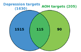 Venn diagram of the targets of depression and AOH. AOH: Alpinia officinarum hance.