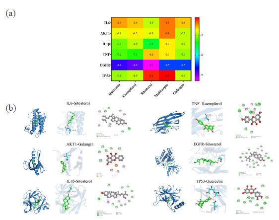 Molecular docking analysis. (a) The heat map showed values of docking affinity between core targets and active compounds, (b) optimal complex structure of components and targets.
