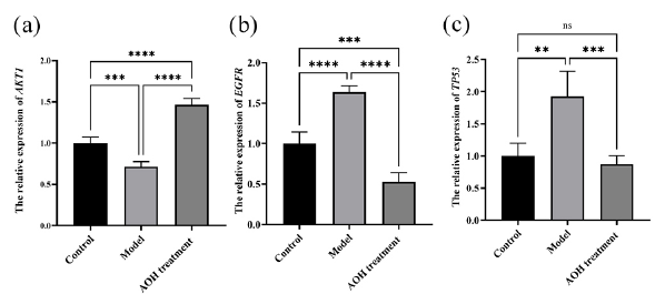 The AOH extract’s impact on (a) AKT1, (b) EGFR and (c) TP53 mRNA levels (ns > 0.05, **P < 0.01, ***P < 0.001 and ****P < 0.0001).