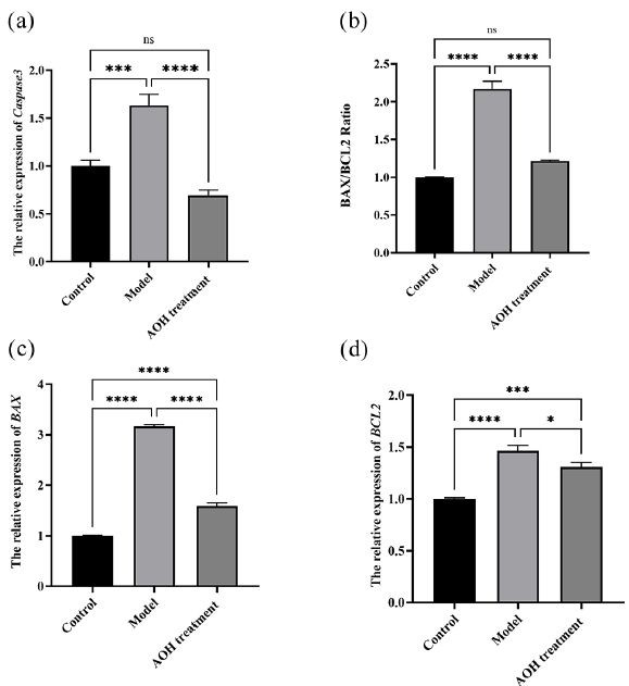 The effect of AOH extract on apoptotic pathways. (a) Caspase 3 mRNA levels (b) BAX/BCL Radio, (c) BAX mRNA levels, (d) BCL2 mRNA levels (ns>0.05, *P < 0.05, ***P < 0.001 and ****P<0.0001). AOH: Alpinia officinarum hance.
