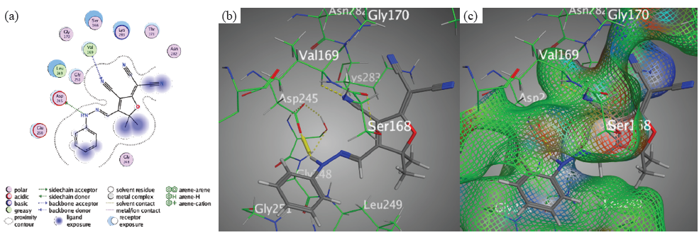 Docking interactions between chromophore 1 and PDB: 1lnz. (a) 2D, (b) 3D, (c) Surface Mapping. PDB: Protein data bank.