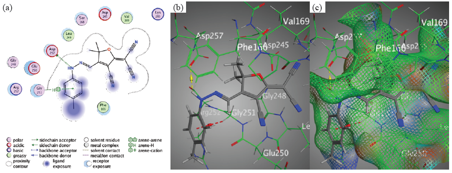 Docking interactions between chromophore 2 and PDB: 1lnz. (a) 2D, (b) 3D, (c) Surface Mapping. PDB: Protein data bank.