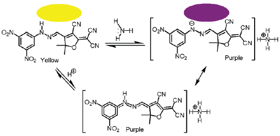 Solid-state reversible sensor displaying a change in color from yellow to purple when exposed to ammonia vapor.
