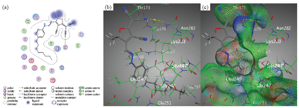 Docking interactions between chromophore 3 and PDB: 1lnz. (a) Two dimensions, (b) Three dimensions, (c) Surface Mapping. PDB: Protein data bank.