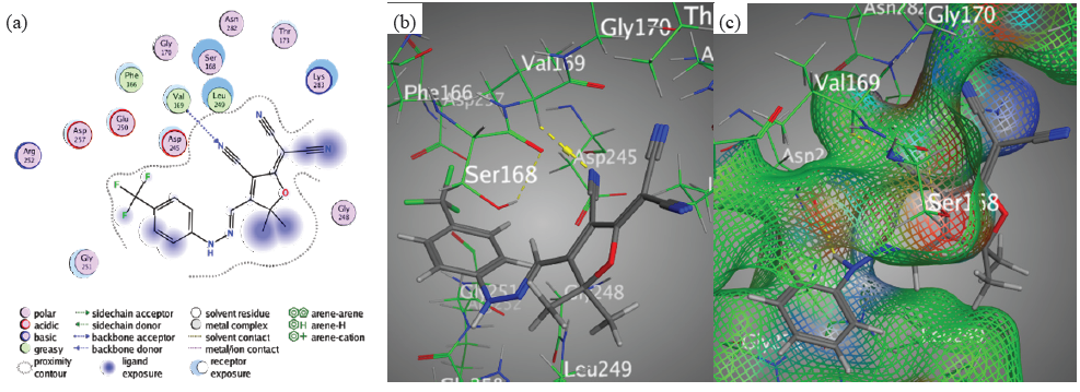 Docking interactions between chromophore 4 and PDB: 1lnz. (a) 2D, (b) 3D, (c) Surface Mapping. PDB: Protein data bank.