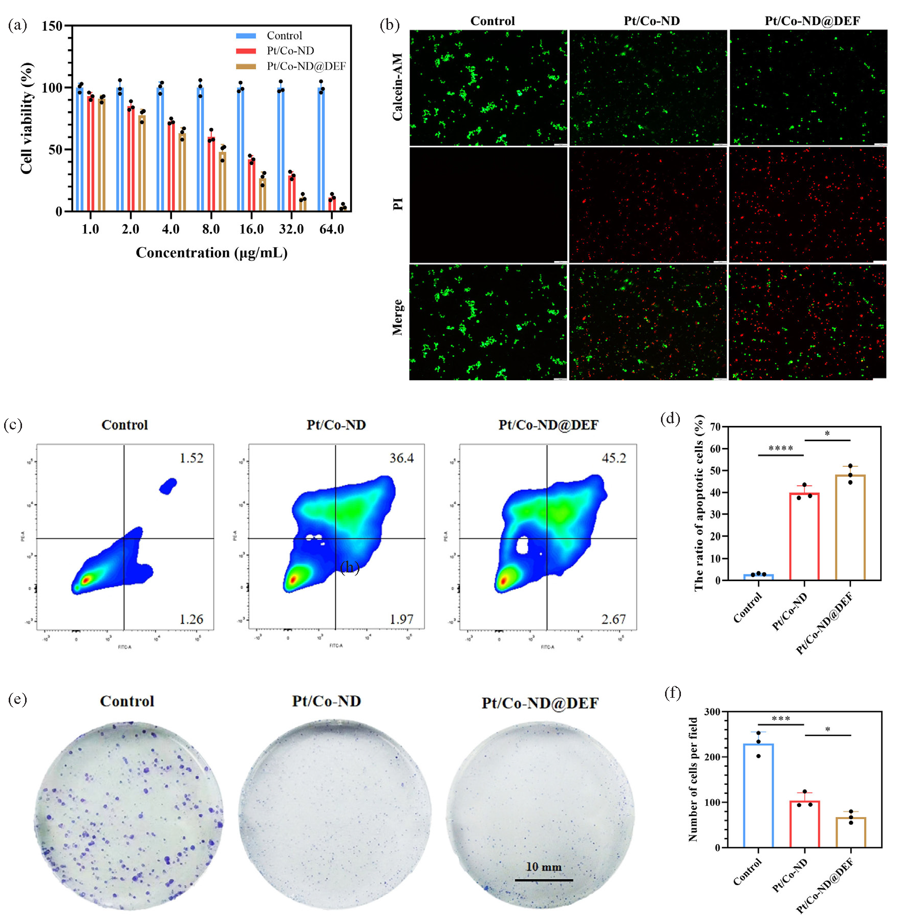 Pt/Co-ND and Pt/Co-ND@DEF induced apoptosis in prostate cancer cells. (a) Cell viability is measured by CCK-8 assay. (b) Fluorescence images of the live/dead cell viability assay kit (Calcein-AM/PI) stained prostate cancer cells (scale bar = 100 µm). (c-d) The apoptosis of prostate cancer cells is analyzed by FCM with staining Annexin-V-APC/PI. (e) Cell growth assessed by colony formation assay in prostate cancer cells (scale bar = 10 mm) and (f) corresponding quantitative analysis (scale bar = 10 mm). *p< 0.05; ** p< 0.01; *** p< 0.001. Pt/Co-ND: Platinum/cobalt nanodots, Pt/Co-ND@DEF: Platinum/cobalt nanodots functionalized with DEF, CCK-8: Cell counting kit-8, Calcein-AM/PI: Calcein-AM/propidium iodide, FCM: Flow cytometry, Annexin-V-APC: Annexin-V allophycocyanin, PI: Propidium iodide.