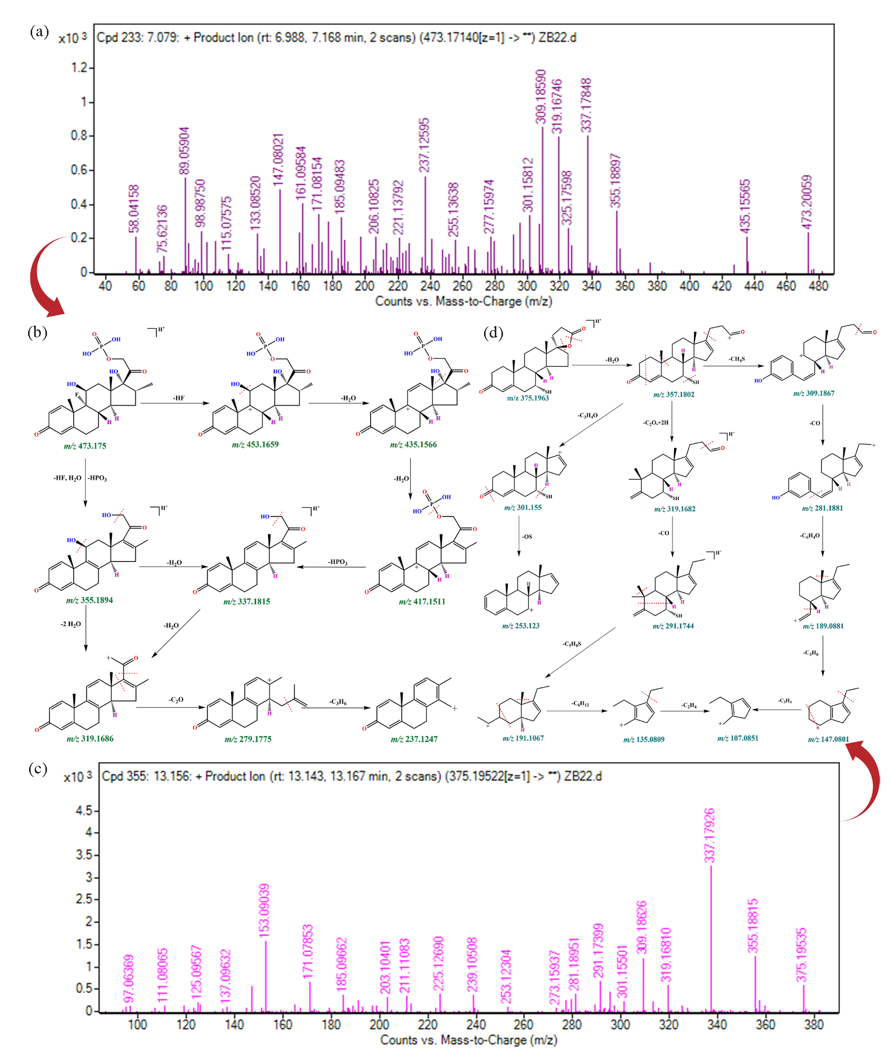 Mass spectrometry information and structural annotation results for Dex-P and 7 alpha-thiospironolactone. (a) MS/MS spectrometry information of Dex-P, (b) Fragmentation pathway of Dex-P, (c) MS/MS spectrometry information of 7 alpha-thiospironolactone, (d) Fragmentation pathway of 7 alpha-thiospironolactone.