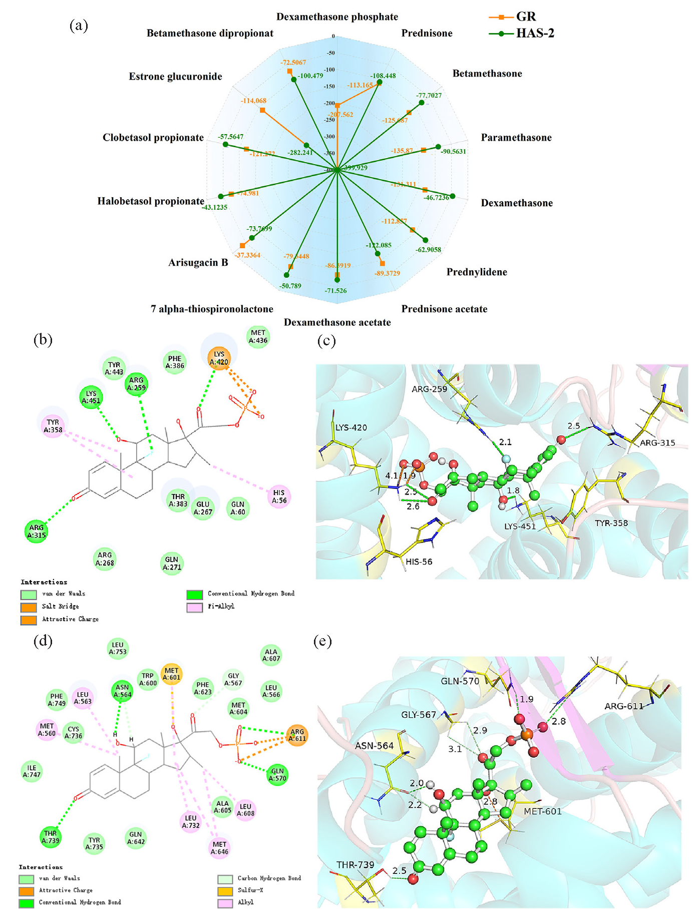 Binding energies and interactions of glucocorticoids with HAS-2 and GR. (a) Binding energies (kcal/mol) of all compounds, (b) Two-dimensional interaction diagrams between Dex-P and HAS-2, (c) Three-dimensional interaction diagrams between Dex-P and HAS-2, (d) Two-dimensional interaction diagrams between Dex-P and GR, (e) Three-dimensional interaction diagrams between Dex-P and GR. HAS-2: Hyaluronan synthase 2, GR: Glucocorticoid receptor.