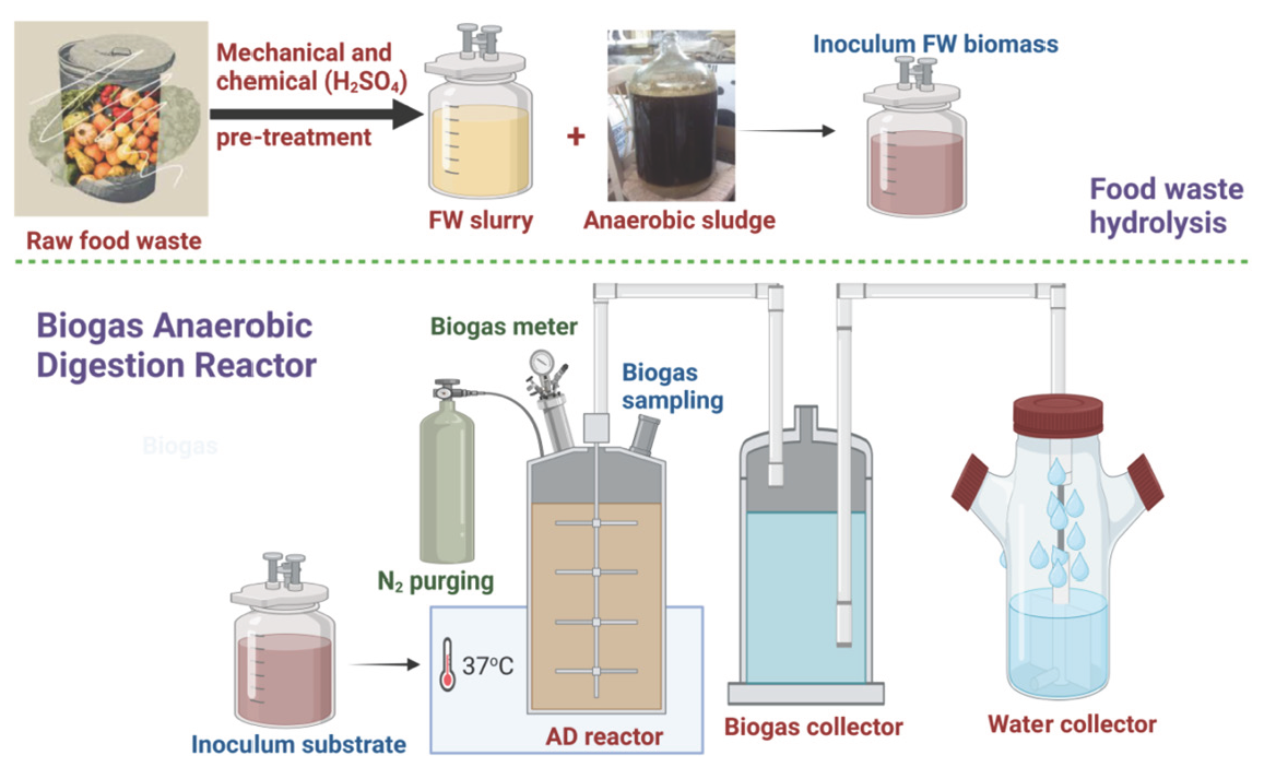 Schematic sketch for food waste pretreatment and the biogas measuring method using water displacement system in biogas AD reactor.