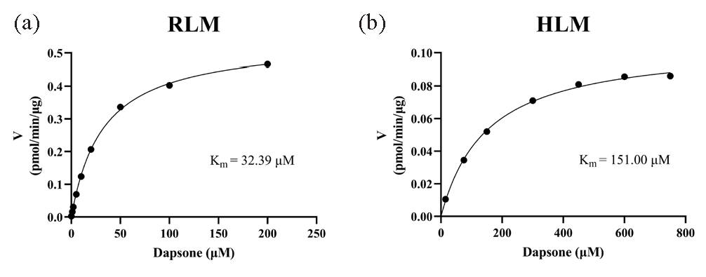 Michaelis-Menten plots of dapsone in (a) RLM and (b) HLM. HLM: Human liver microsomes, RLM: Rat liver microsomes.