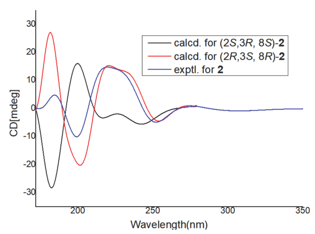 Calculated and experimental ECD spectra of 2.