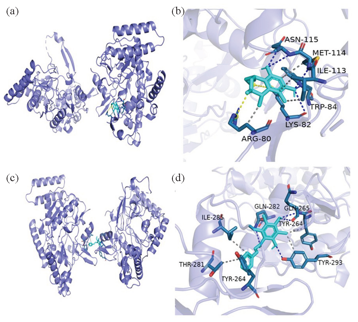 Molecular docking simulations of compounds (a, b) 2 and (c, d) 3.