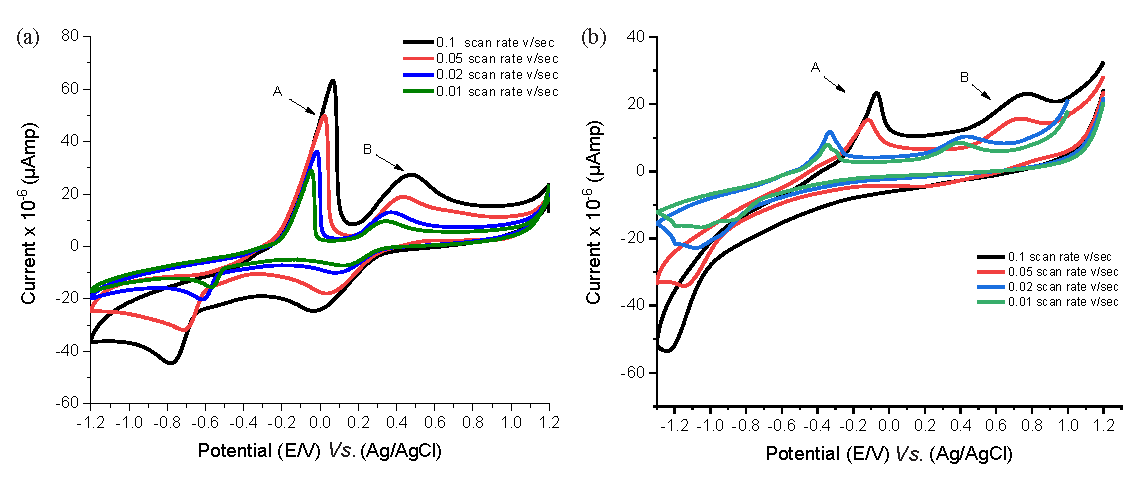 The cyclic voltammogram of CuCl2 at various scan rates in (a) absenteeism and (b) presence of H2BT at 291.15 K. Electrochemical bands: A,B
