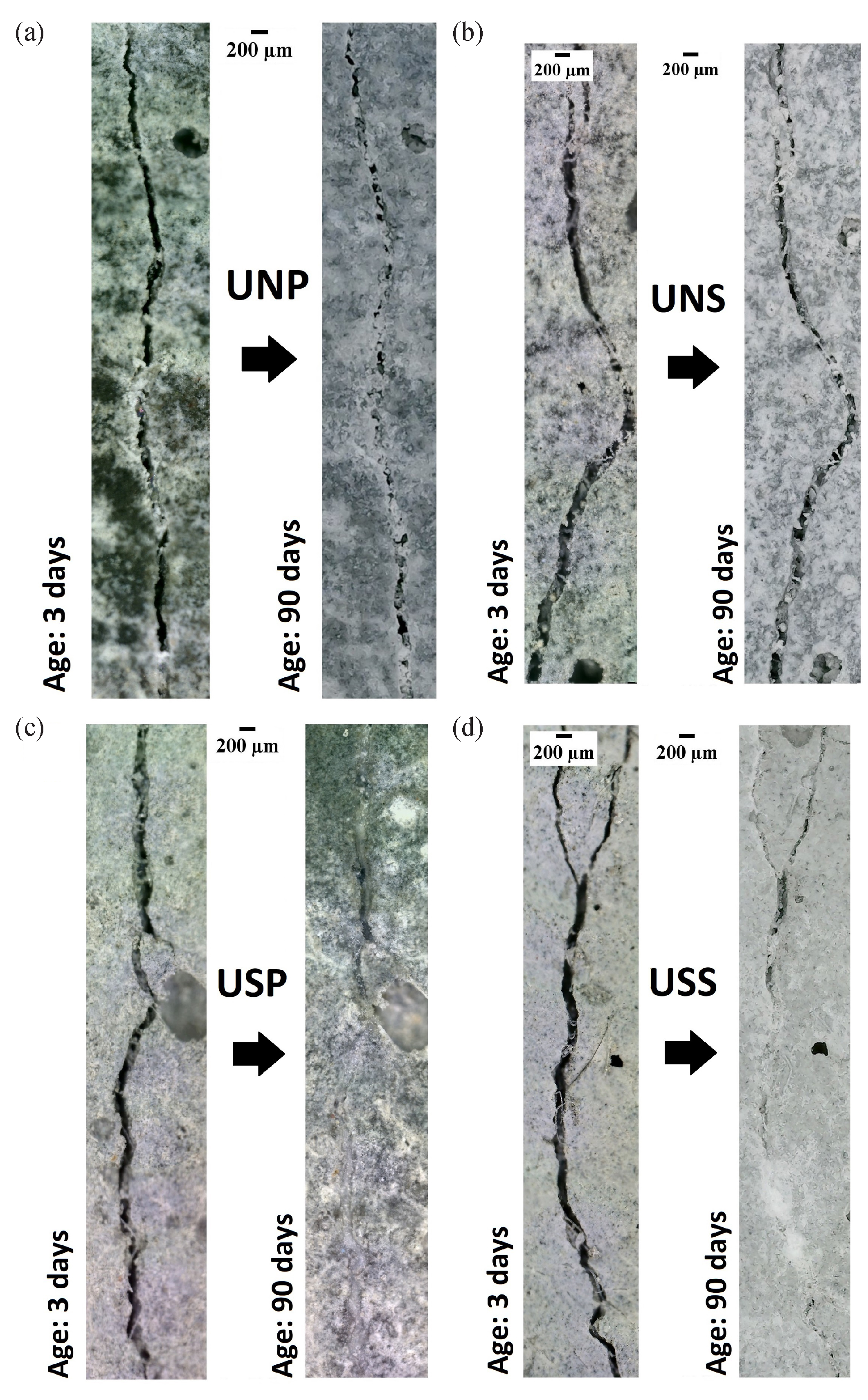 Digital microscopy images of crack surfaces before (3 days) and after (90 days) of healing for specimens: (a) UNP, (b) UNS, (c) USP, and (d) USS.