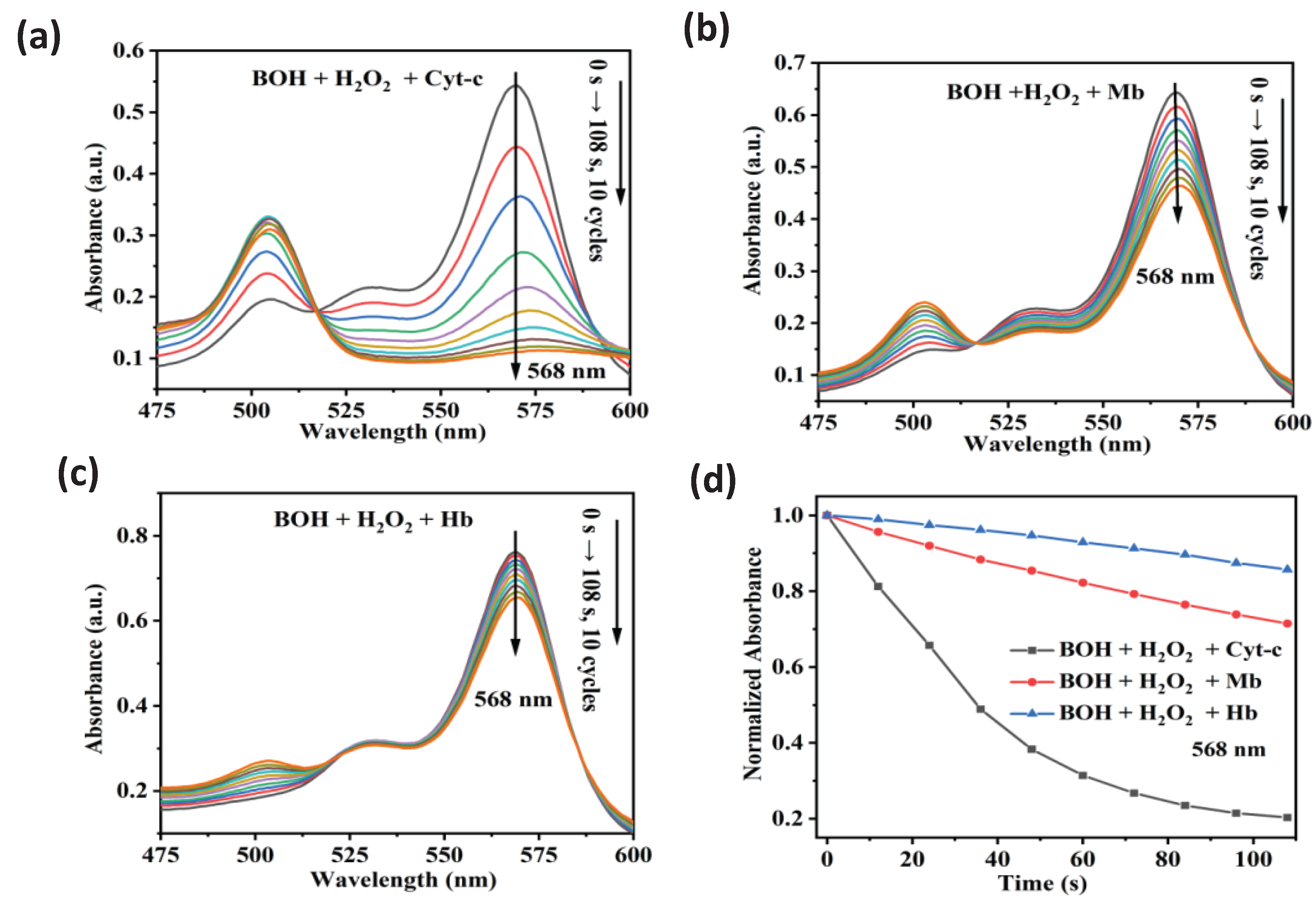 (a) The absorption spectra of BOH + H2O2 + Cyt-c with 10 cycles in a time frame of 108 s. (b) The absorption spectra of BOH + H2O2 + Mb with 10 cycles in a time frame of 108 s. (c) The absorption spectra of BOH + H2O2 + Hb with 10 cycles in a time frame of 108 s. (d) The chemical kinetics of BOH + H2O2 + Cyt-c, BOH + H2O2 + Mb and BOH + H2O2 + Hb measured at 568 nm.